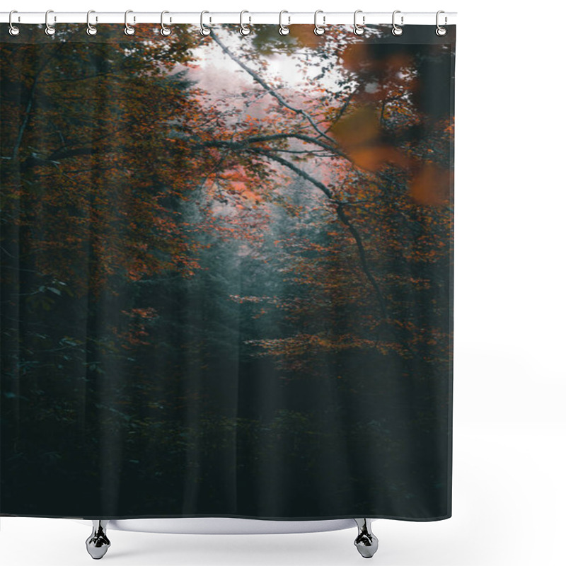 Personality  Fog Over The Autumn Trees. Shower Curtains