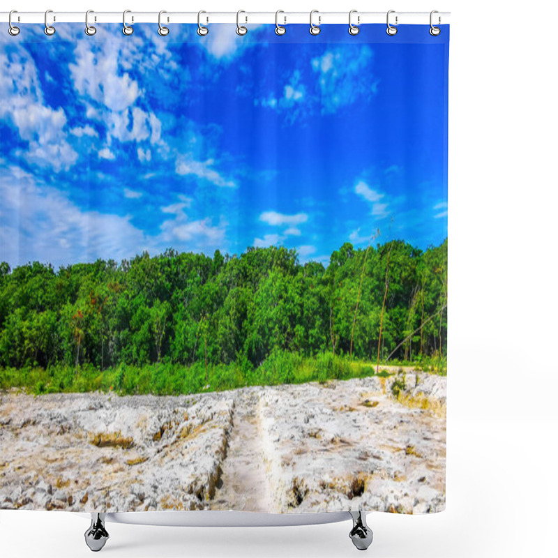 Personality  Green Tropical Jungle And Nature Palm Trees Palms Of Tulum With Blue Sky In Quintana Roo Mexico. Shower Curtains