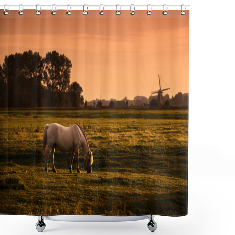 Personality  White Horse On Pasture At Sunrise Shower Curtains