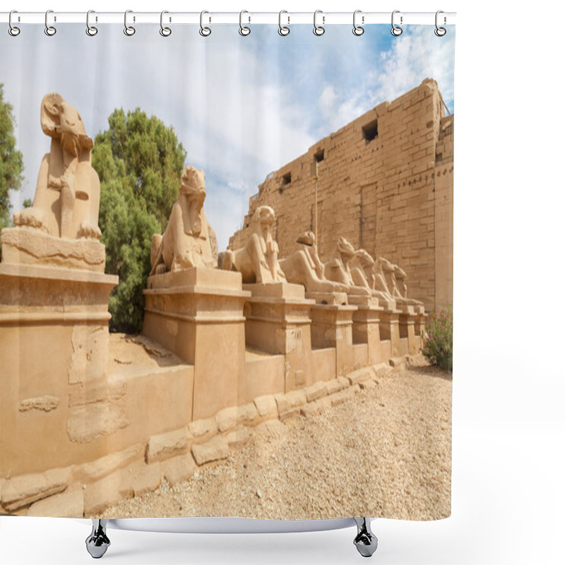 Personality  Sphinxes Avenue. Luxor, Egypt Shower Curtains