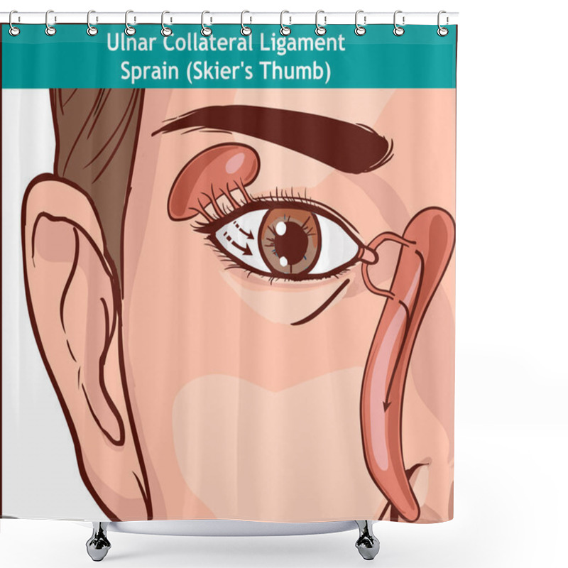 Personality  Vector Illutration, Anatomy Of The Lacrimal Apparatus Shower Curtains