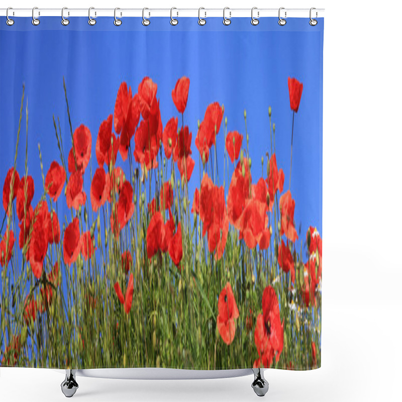 Personality  Red Poppies Full Bloom, Panoramic Size Format Shower Curtains