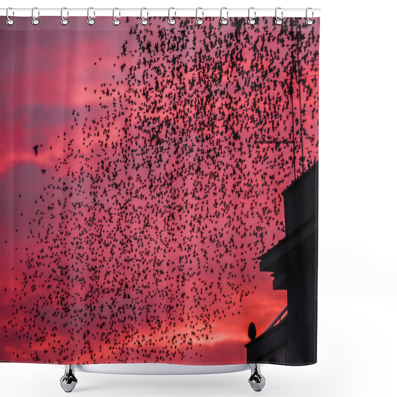 Personality  Starling Bird Flock Shower Curtains