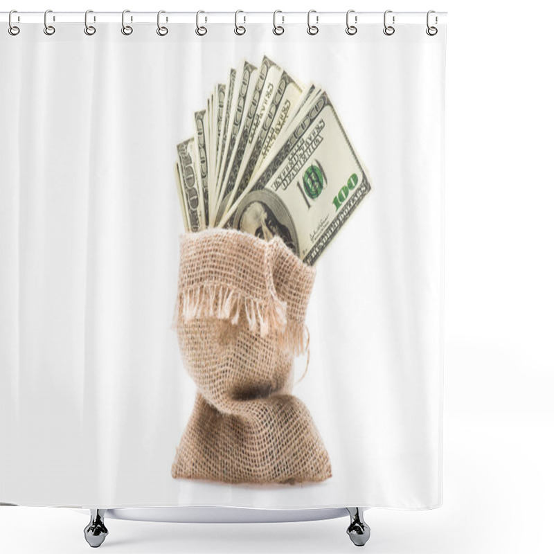 Personality  Dollar Banknotes In Bag Shower Curtains