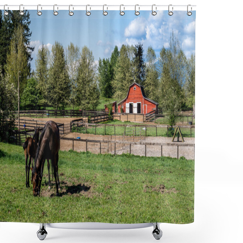 Personality  Mare And Filly Grazing In A Meadow Shower Curtains