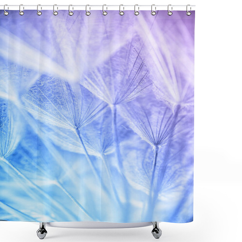 Personality  Abstract Macro Photo Of Plant Seeds At A Morning Shower Curtains