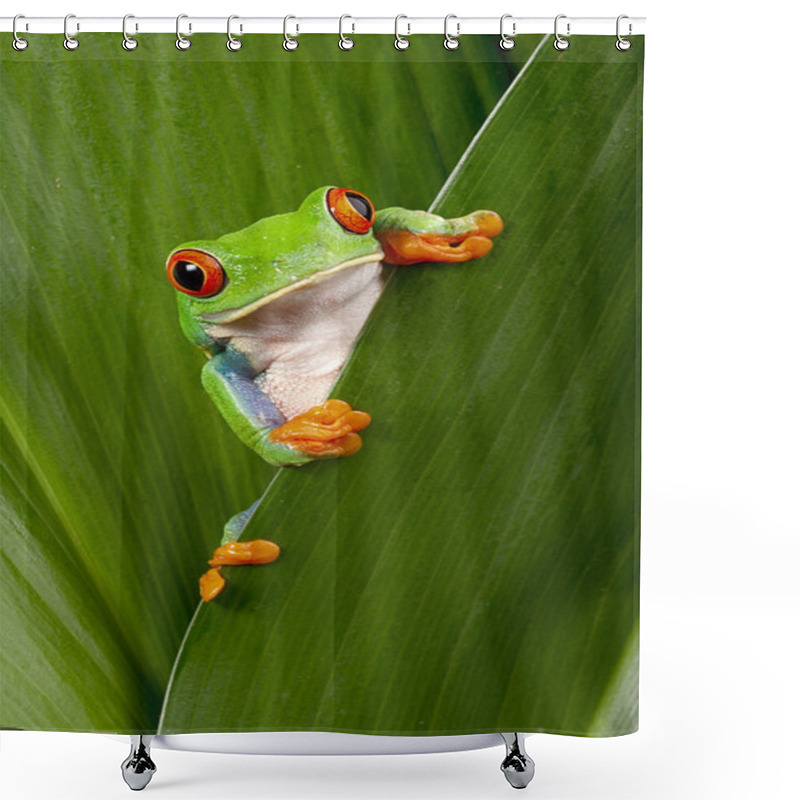 Personality  Red Eyed Tree Frog Peeping Shower Curtains