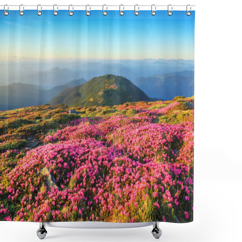 Personality  Amazing Summer Day. A Lawn Covered With Flowers Of Pink Rhododendron. Mountain Landscape With Beautiful Sky. The Revival Of The Planet. Location Carpathian Mountain, Ukraine, Europe. Shower Curtains