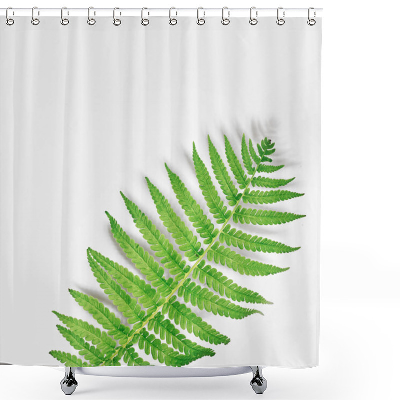 Personality  Fern On A White Background. Frame With Flowers, Branches, Leaves Shower Curtains