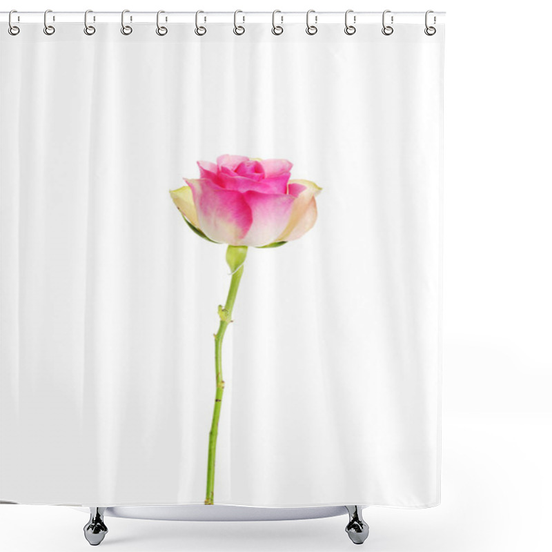 Personality  Pale-pink Rose Isolated On White. Shower Curtains