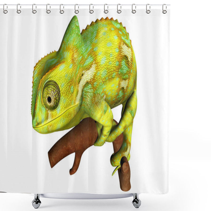 Personality  Chameleon Shower Curtains