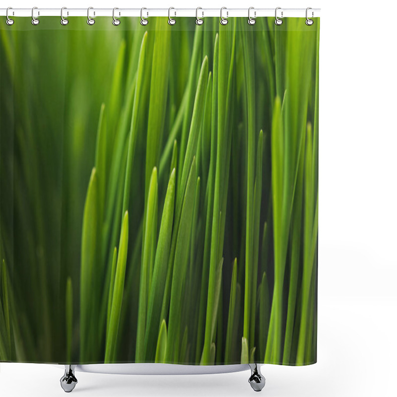 Personality  Full Frame Of Green Grass Stems Shower Curtains