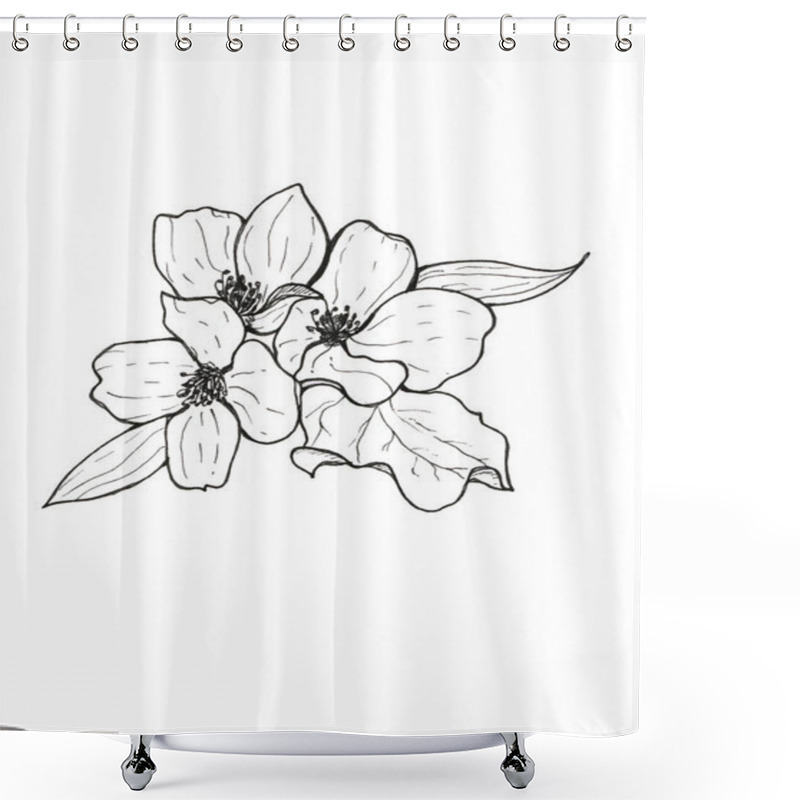 Personality  Jasmine Flowers And Buds With Leaves In A Group On A White Background Shower Curtains