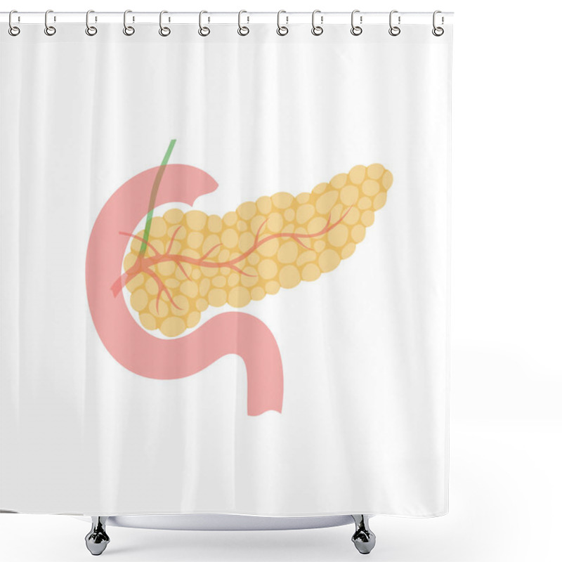 Personality  Vector Isolated Illustration Of Pancreas  Shower Curtains