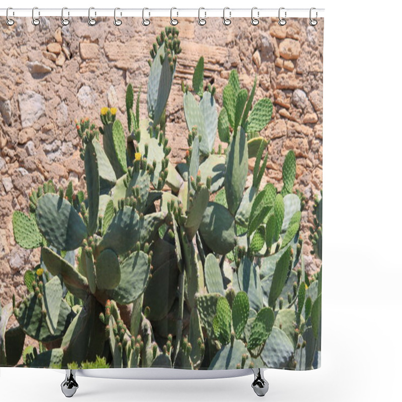 Personality  Opuntia Ficus Indica Shower Curtains