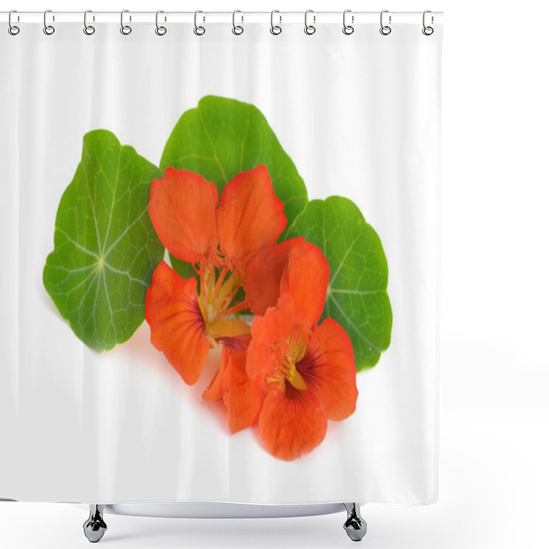 Personality  Nasturtium Flowers Isolated. Shower Curtains