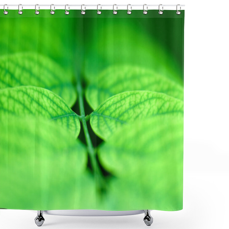 Personality  Foliage. Shower Curtains