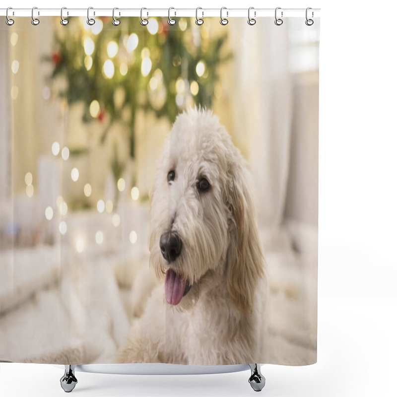 Personality  Dog Laying Down In Front Of Christmas Tree Shower Curtains