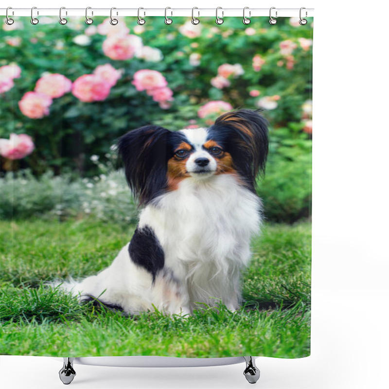 Personality  Dog In The Garden Shower Curtains