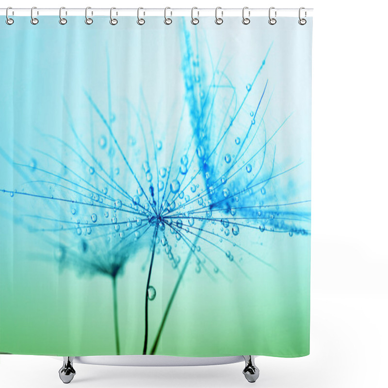 Personality  Dandelion Seeds With Water Drops Shower Curtains