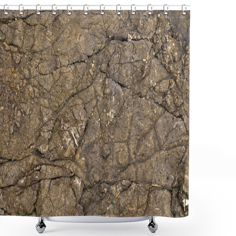 Personality  Brown Stone Texture Background Shower Curtains