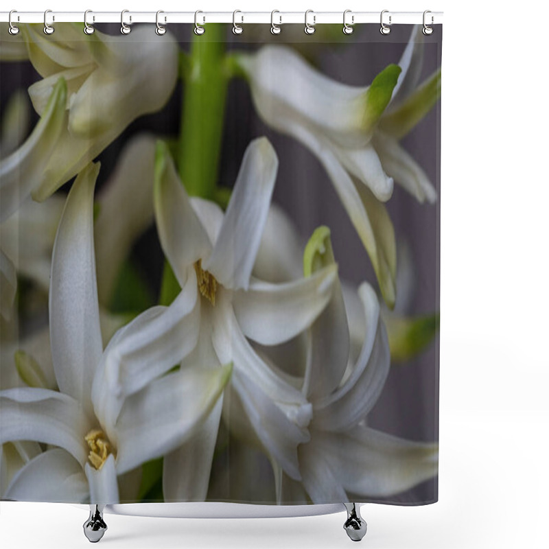 Personality  A Cluster Of Delicate White Flowers Displays Their Intricate Petals, Capturing The Essence Of Spring In A Lush Garden. The Subtle Appearance Is Enchanting And Refreshing. Shower Curtains