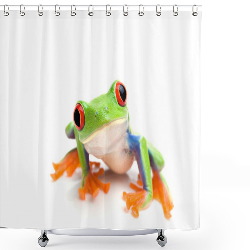 Personality  Frog Closeup On White Shower Curtains