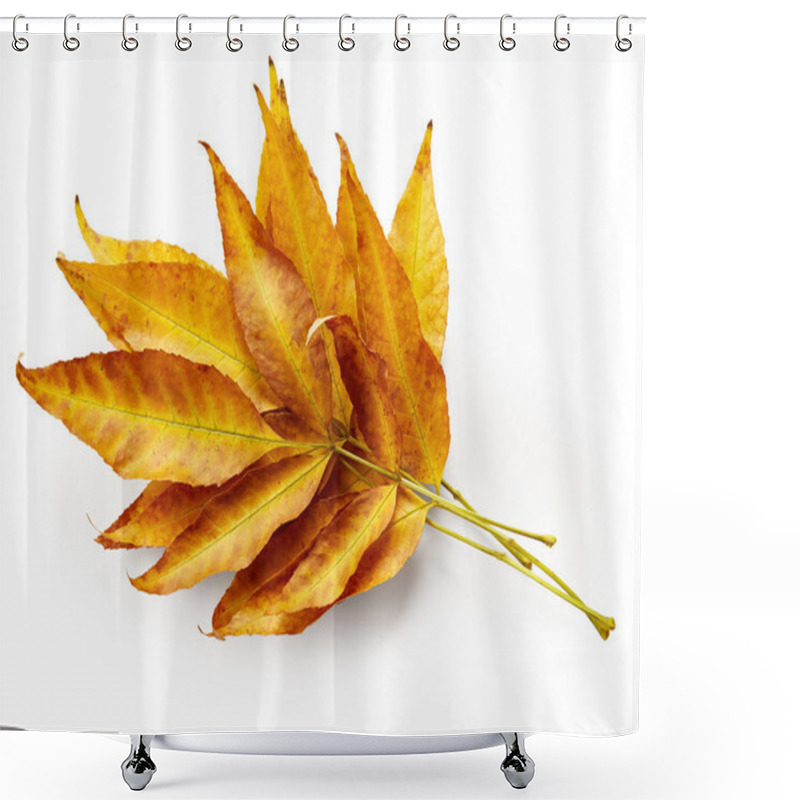 Personality  Autumn Leaves Shower Curtains