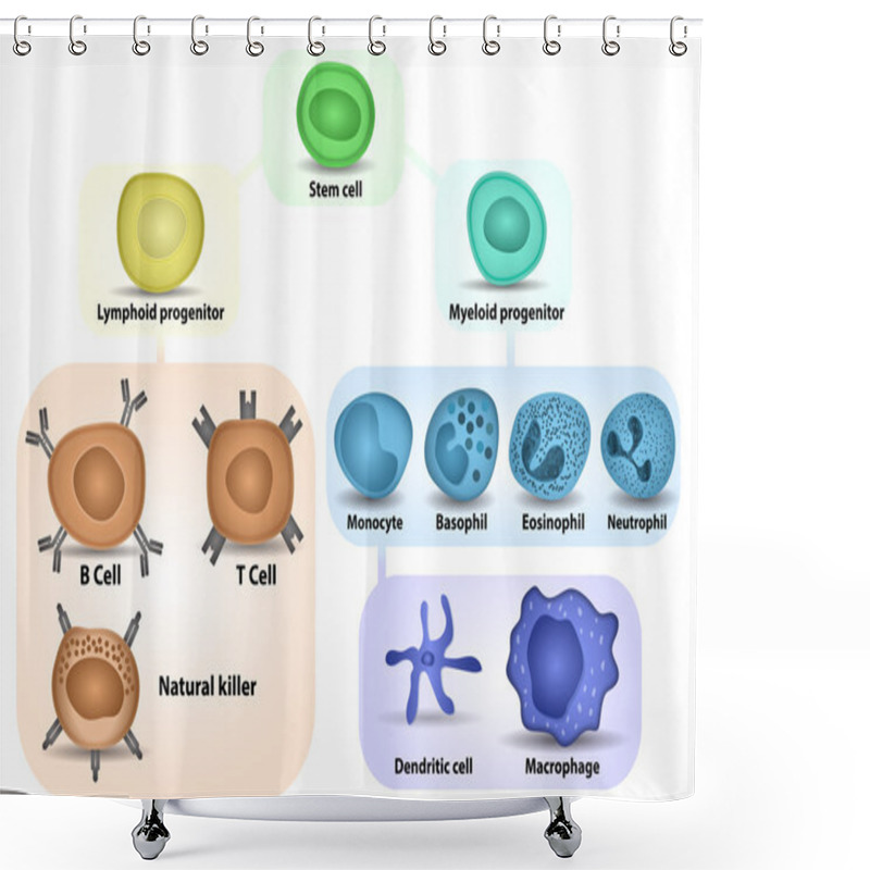 Personality  White Blood Cell Formation Shower Curtains