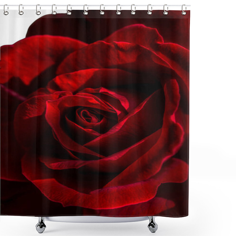 Personality  Red Rose Flowers For The Holiday, Bokeh, Macro, Floral Background.  Romantic Space For Text Shower Curtains