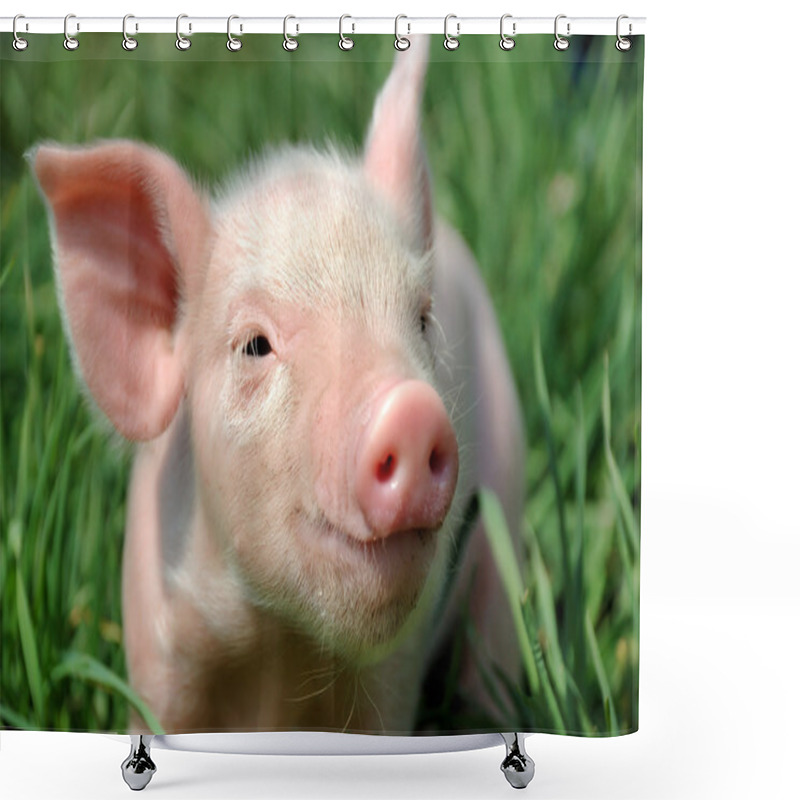 Personality  Young Pig On A Green Grass Shower Curtains