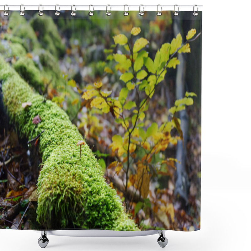 Personality  The Image Shows A Lush Forest Floor With A Fallen Log Covered In Vibrant Green Moss. A Small Mushroom Is Growing On The Mossy Log, And There Are Yellow And Green Leaves In The Background Shower Curtains