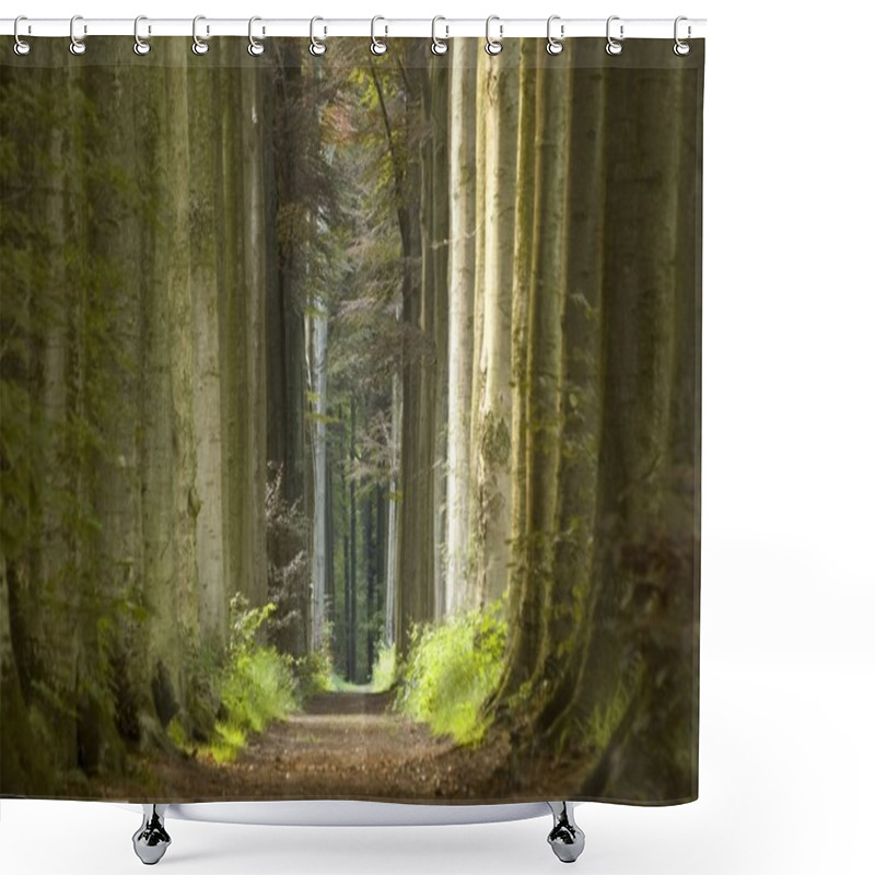 Personality  Nature Pathway Shower Curtains