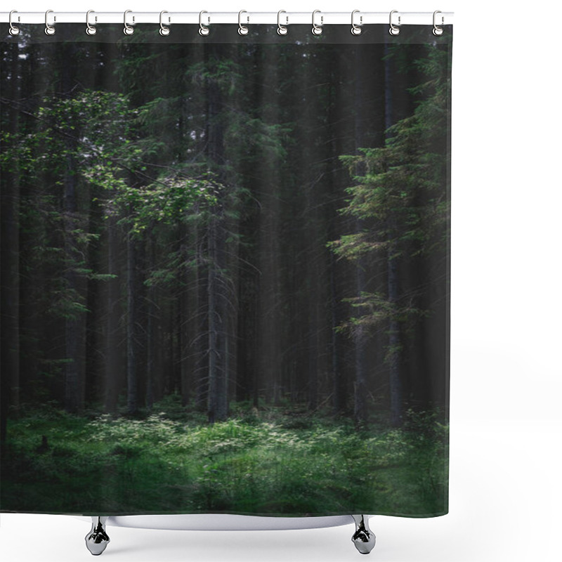 Personality  Dark Forest In The Evening On A Summer Day With A Glossy Glade Shower Curtains