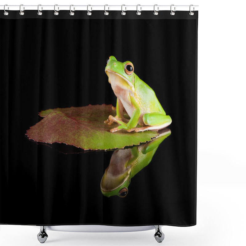 Personality  Reflected Tree Frog On Leaf Shower Curtains