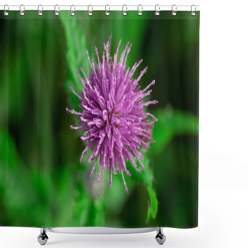 Personality  Bees Pollinating Thistle Flowers In Summertime In The Morning Shower Curtains