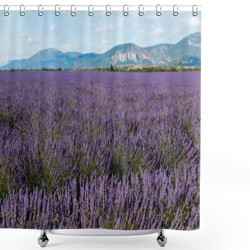 Personality  Floral Shower Curtains