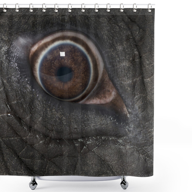 Personality  Macro Of An African Elephant's Eye Shower Curtains