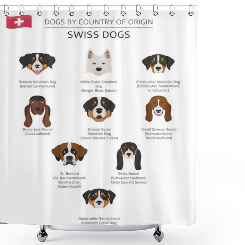 Personality  Dogs By Country Of Origin. Swiss Dog Breeds. Infographic Templat Shower Curtains