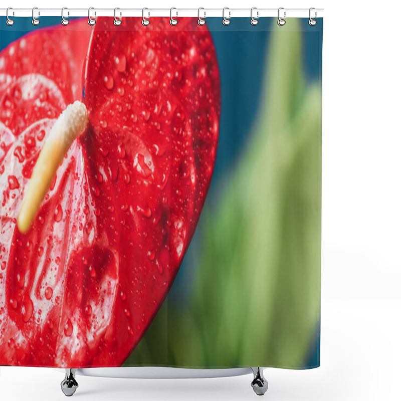 Personality  Close Up Shot Of Red Anthurium And Leaves On Blurred Background  Shower Curtains