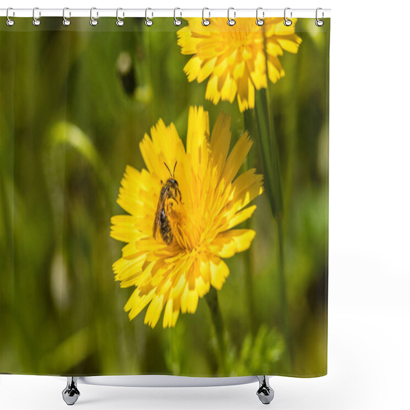 Personality  Insect Perched On A Flower Shower Curtains