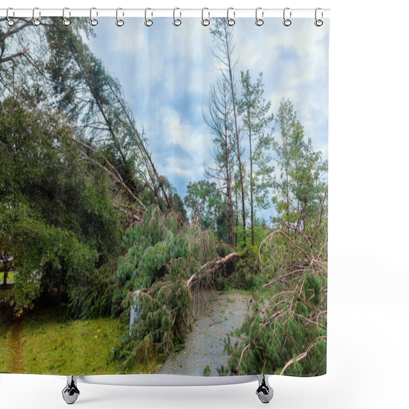 Personality  After Severe Storm, Fallen Trees Block Pathway Branches Debris Cover Ground, Demonstrating Hurricane Impact On Natural Landscape. Shower Curtains