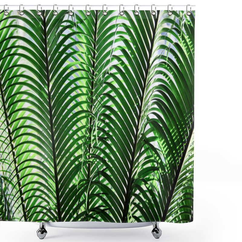 Personality  Green Tropical Leaves. Close-up. Background. Palm. Shower Curtains