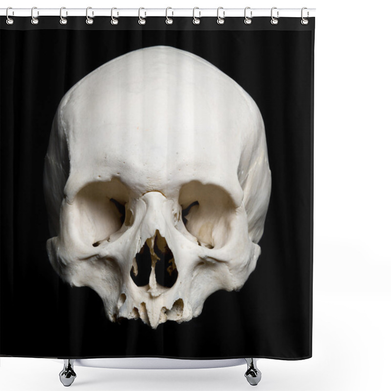 Personality  Upper Half Of The Real Human Skull Shower Curtains