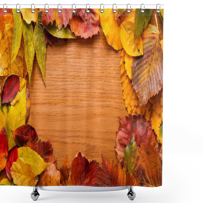 Personality  Bright Autumn Leaves. Red, Yellow, Green Leaves. Wooden Background. Leaf Frame. Close Up. Shower Curtains