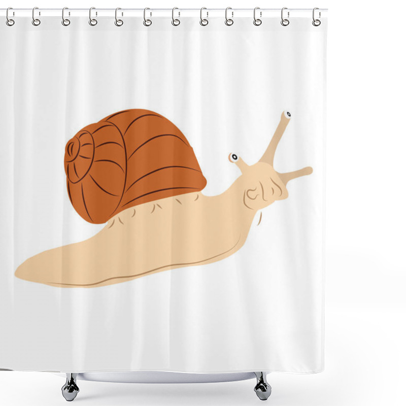 Personality  Snail Isolated On Transparent Background. Cartoon Snail Shower Curtains