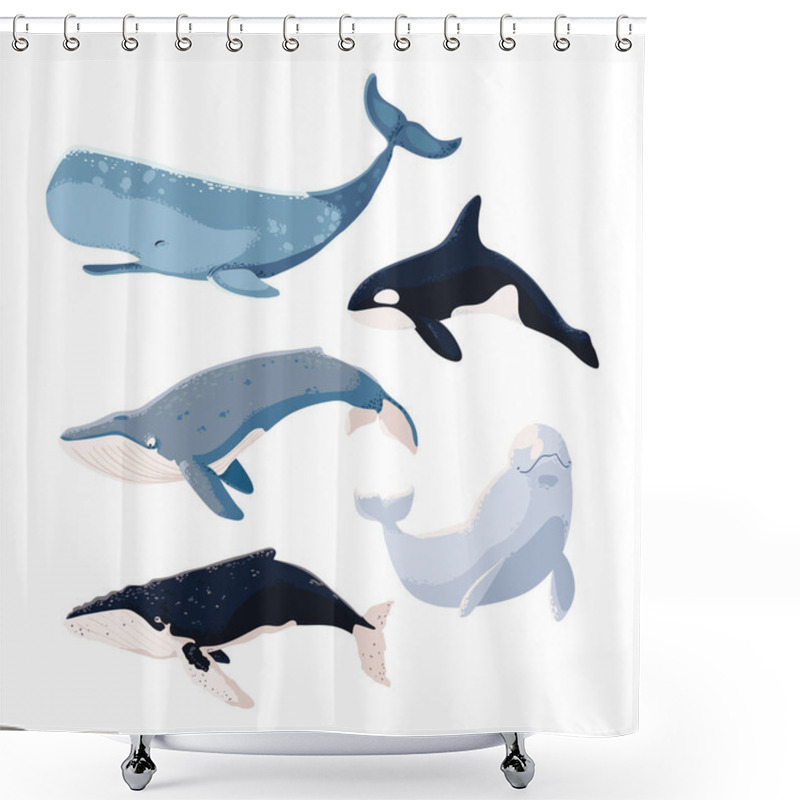 Personality  Set Of Whales Include Orca And Beluga Shower Curtains