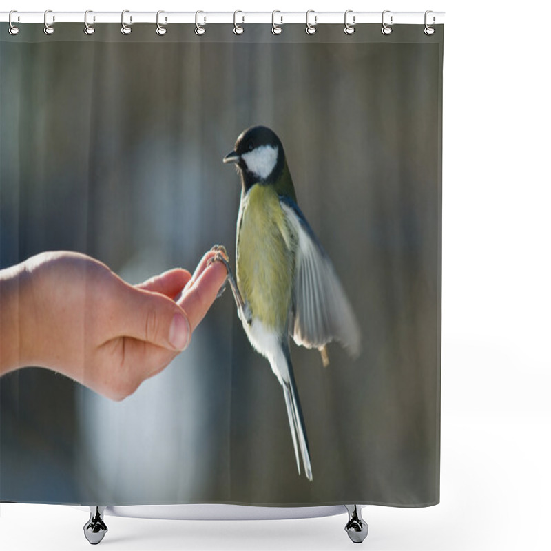 Personality  Feed Of Bird Shower Curtains