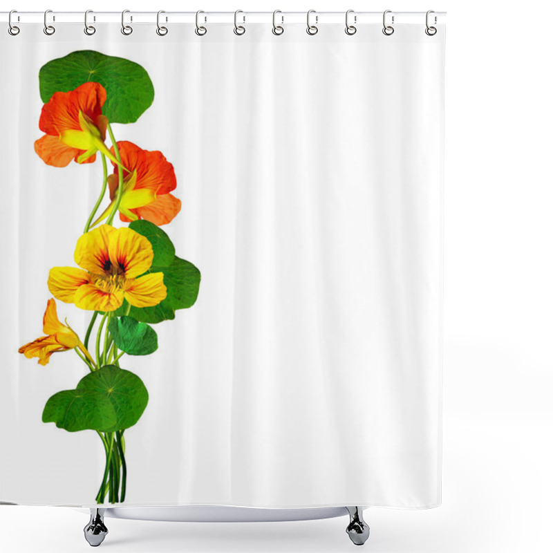 Personality  Nasturtium Flowers Isolated On White Background Shower Curtains