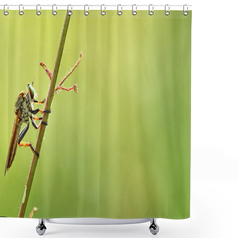 Personality  Macro Photography Shower Curtains